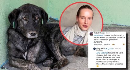 Gaby Platas expone intento de estafa al intentar ayudar a perrito que estaba en Aeropuerto de Mérida