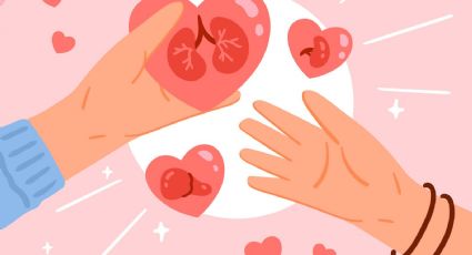 Requisitos para donar órganos en Yucatán: ¿qué dice la ley?