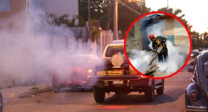 Mosquitos en Yucatán: ¿Dónde van a fumigar GRATIS este jueves 2 y viernes 3 de octubre?