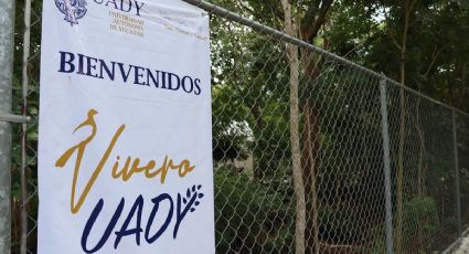 UADY afina el trabajo para cuidar el medio ambiente y la ecología