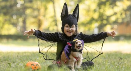 Inscribe a tu mascota en un concurso de disfraces; te decimos dónde