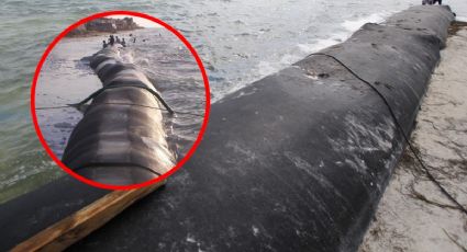 ¿Qué son y para qué sirve los geotubos que se instalaron en las playas de Progreso?