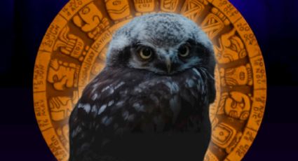 Horóscopo maya martes 28 de octubre de 2025: señales del destino para estos signos