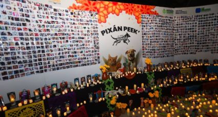 Mérida homenajea a sus animales de compañía; ¿dónde está el Pixán Peek?