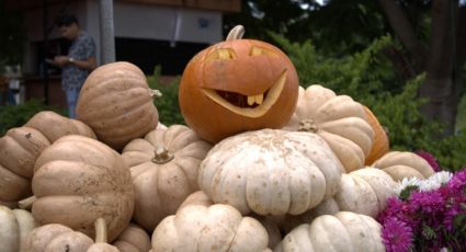 La Central de Abasto de Mérida inaugura el Tianguis de las Ánimas 2025