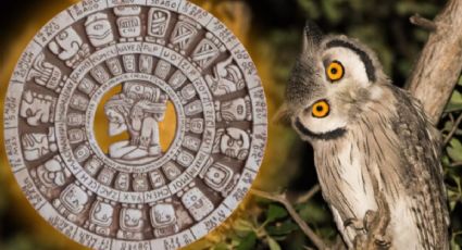 Horóscopo maya lunes 3 de noviembre de 2025: negocios y oportunidades laborales para estos signos