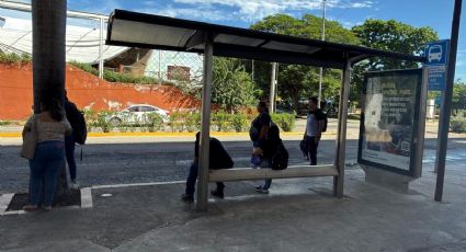 El Va y Ven sigue en paro en el circuito de Mérida; implementan operativo emergente