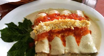 Gastronomía yucateca: receta fácil y práctica para preparar los tradicionales papadzules