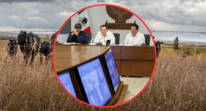 Gusano barrenador: ¿qué medidas implementó el gobierno de Yucatán para controlar el brote?