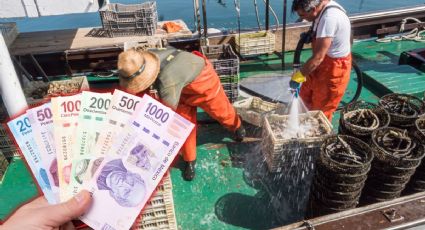 Nuevo apoyo económico para pescadores de Yucatán: ¿en qué consiste y cómo registrarse?