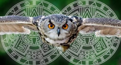 Horóscopo maya miércoles 12 de noviembre de 2025: señales para descubrir gente falsa y mentiras