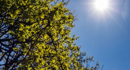 Viernes 21 de noviembre de calor y poca probabilidad de lluvia en Yucatán