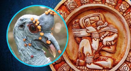 Horóscopo maya domingo 23 de noviembre de 2025: los 3 secretos para el éxito amoroso