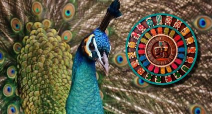 Horóscopo maya lunes 24 de noviembre de 2025: mensajes de vidas pasadas para estos signos