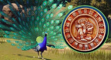 Horóscopo maya 25 de noviembre: revelaciones de los secretos oscuros que persiguen a estos signos