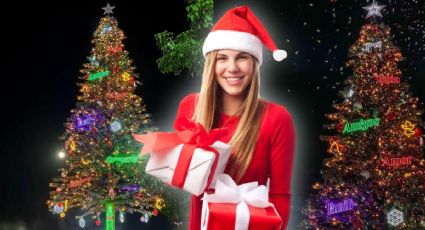 ¿Dónde y en qué horarios se puede visitar el árbol de navidad más grande de Yucatán?