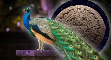 Horóscopo maya 27 de noviembre 2025: señales del amor verdadero en el Mes del Pavo Real