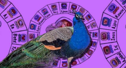 Horóscopo maya domingo 30 de noviembre: errores del pasado que regresan para atormentar