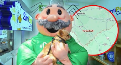 ¿Hay veterinarias Dr Simi en Yucatán? Lista de ubicaciones y todos los servicios que ofrece