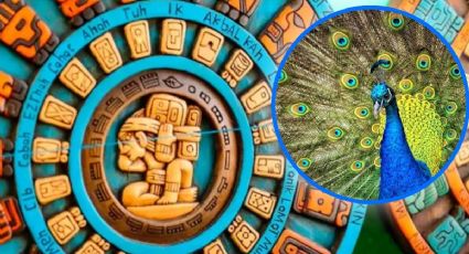 Horóscopo maya 1 de diciembre: guía cósmica para un futuro financiero más estable