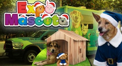 Expo Mascota: el evento dónde podrás conocer, adoptar y cambiarle la vida a un perrito | FECHA