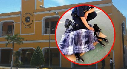 Perrito en Yucatán termina esterilizado por curioso y se hace viral en redes | FOTOS