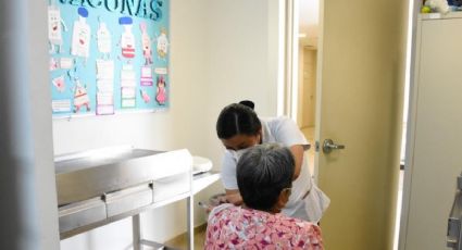 Gripe H3N2 llega a México: ¿qué se se sabe del primer caso detectado en el país?