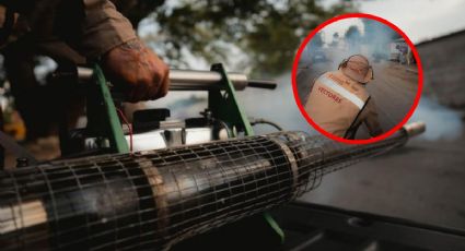 ¿Alarma por aumento de casos de chikungunya en Yucatán? Gobierno Estatal refuerza llamado preventivo