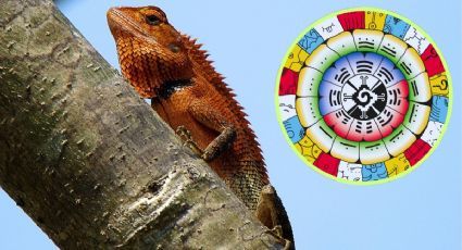 Horóscopo maya 25 de diciembre: compromisos del Mes del Lagarto para una Navidad consciente