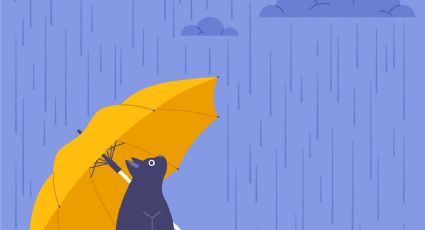 Clima en Yucatán: Frente frío 25 provoca aumento en las lluvias desde este lunes 29 de diciembre