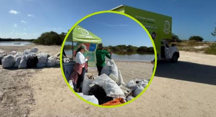 Yucatán cerrará 2025 con más de 33 toneladas de desechos retirados de playas y manglares