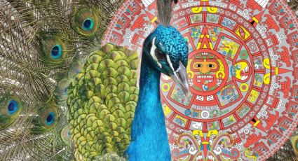 Horóscopo maya 4 de diciembre 2025: 3 claves cósmicas para descubrir tu talento oculto