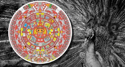 Horóscopo maya 7 de diciembre 2025: mensajes del destino en lo cotidiano en el Mes del Pavoreal
