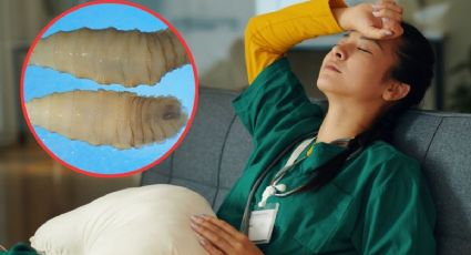 Gusano barrenador en humanos: ¿cuántos casos acumula Yucatán? Cifra actualizada