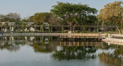 Sal a divertirte al parque La Plancha; éstas son las actividades gratuitas para el fin de semana