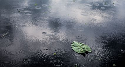 Anticipan chubascos y mucho calor para este martes 10 de junio en Yucatán