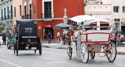 Mérida planea reordenar  calesas, conductores y caballos
