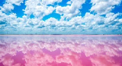 Las Coloradas, Yucatán: cuándo ir y qué saber del paraíso rosa más famoso del Caribe mexicano