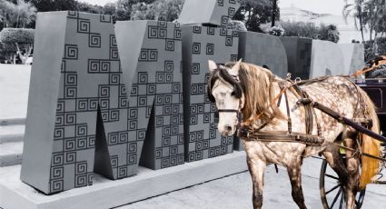 Maltrato animal: ¿cómo serán sancionados los caleseros que no cumplan con el horario de Mérida?