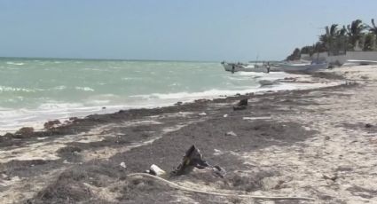 Playas de Yucatán: estos son los mejores destinos sin sargazo para este verano 2025