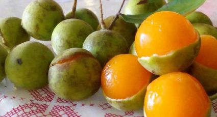 Huaya: la fruta del verano en Yucatán que conquista por su sabor y tradición