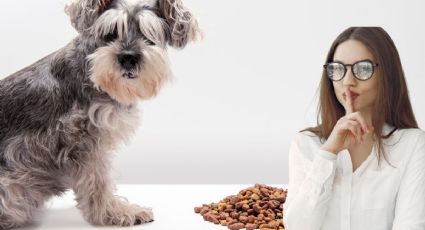 Día del perro: Las mejores croquetas para tu mascota según la Profeco