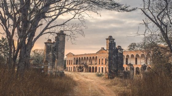 Hacienda Tabi: el santuario escondido en la selva de Yucatán que protege la biodiversidad