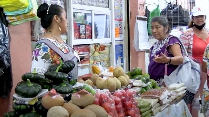 Yucatán busca integrar el Consejo Peninsular para la Maayat’aan