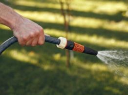 ¿Cuál es la mejor hora para regar el pasto en época de calor? Consejos para jardinería en Yucatán