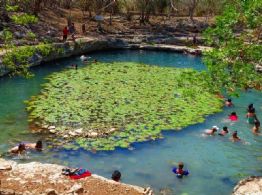 Top 3 de los cenotes más bonitos y seguros en Yucatán para viajar con niños estas vacaciones