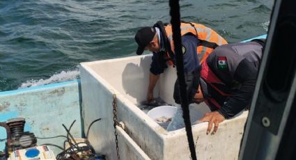 ¿Cuál es la multa por romper la veda pesquera en Yucatán? 3 hombres enfrentarían cárcel