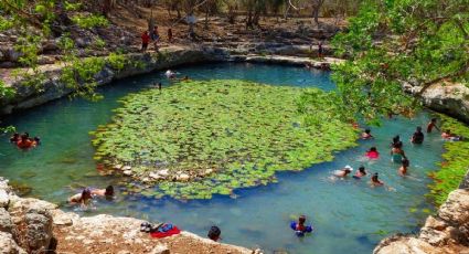 Top 3 de los cenotes más bonitos y seguros en Yucatán para viajar con niños estas vacaciones