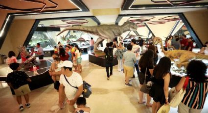 Museo del Meteorito en Progreso celebra su tercer aniversario con récord de visitantes