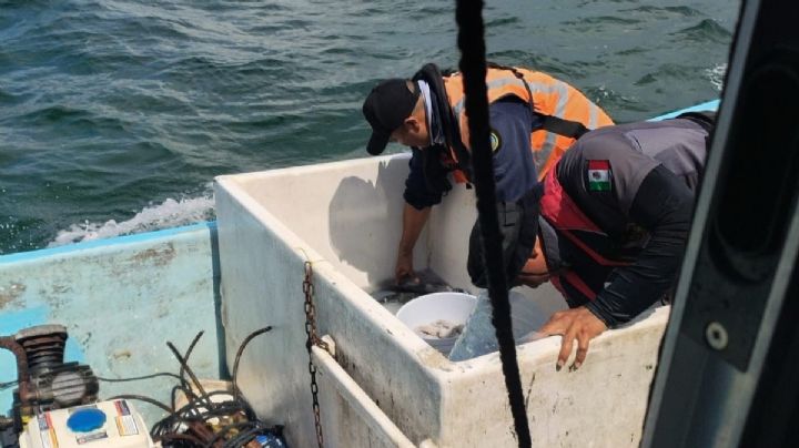 ¿Cuál es la multa por romper la veda pesquera en Yucatán? 3 hombres enfrentarían cárcel